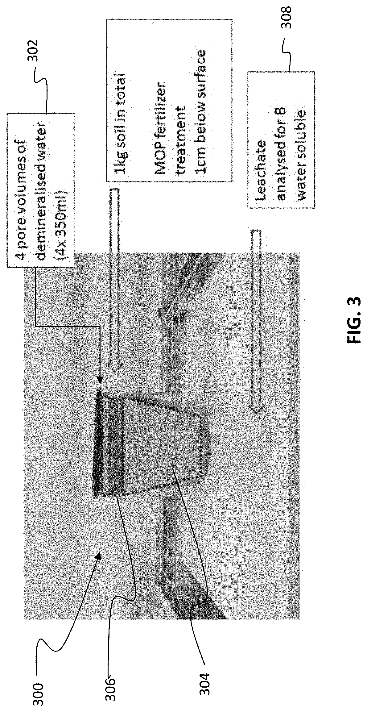 Fertilizers containing slow and fast release sources of boron