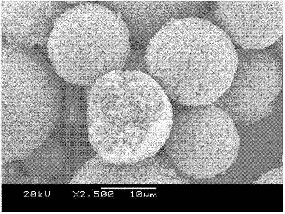 LiFePO4 (lithium iron phosphate) positive electrode material with specific morphology and structure and lithium secondary battery