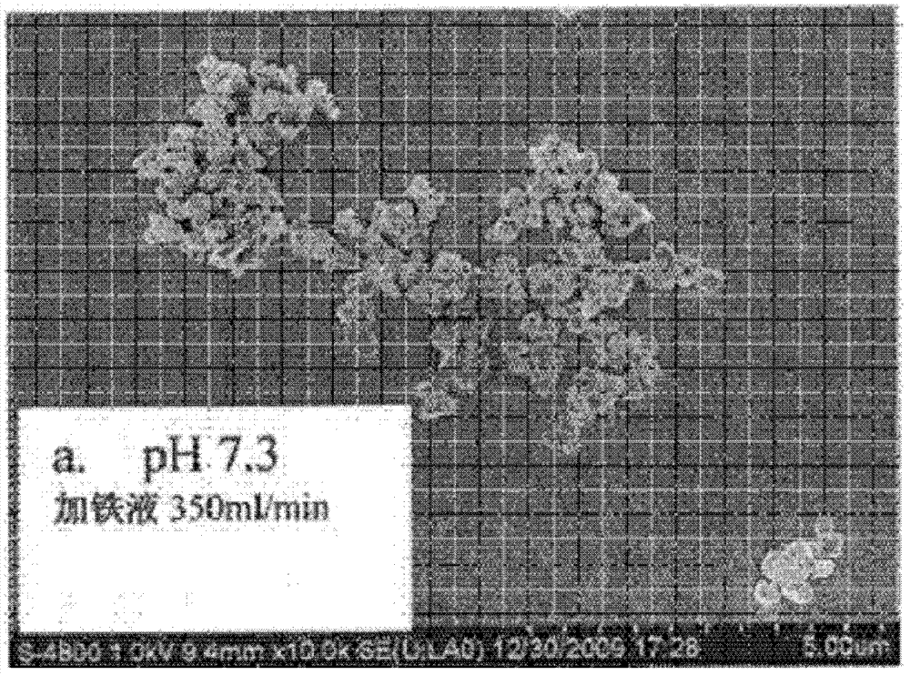 LiFePO4 (lithium iron phosphate) positive electrode material with specific morphology and structure and lithium secondary battery