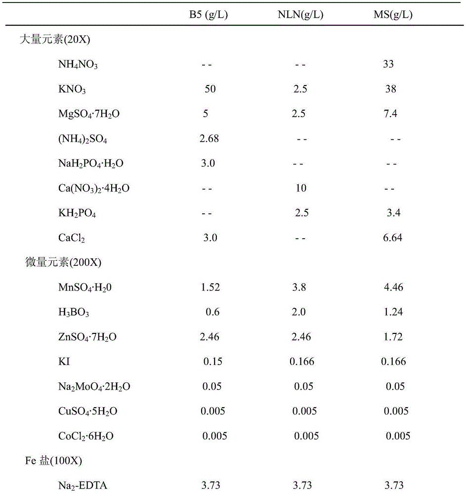 Method for quickly and efficiently obtaining free microspores of Brassica vegetables and cultivating regenerated plants