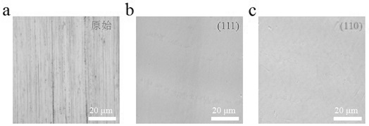 Method for simply and selectively preparing single crystal copper foil