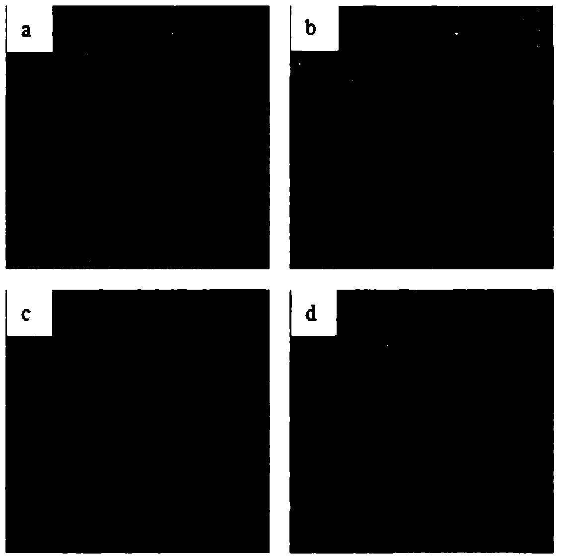 Nano-silver porous silicone rubber/polyurethane-containing double-layer artificial skin and preparation method thereof