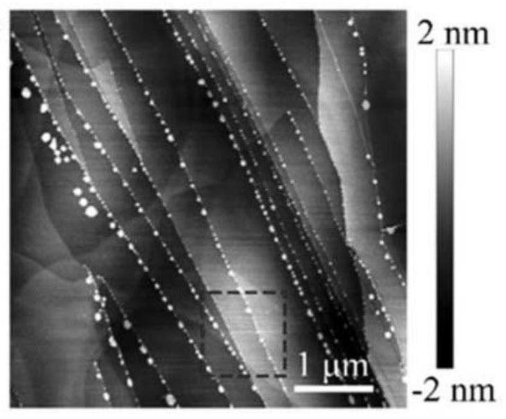 A kind of preparation method of salt nanoparticles