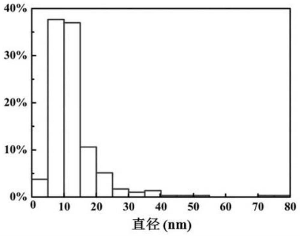 A kind of preparation method of salt nanoparticles