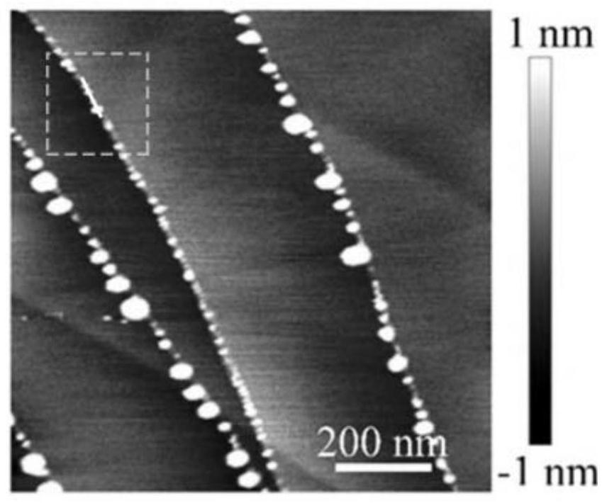 A kind of preparation method of salt nanoparticles