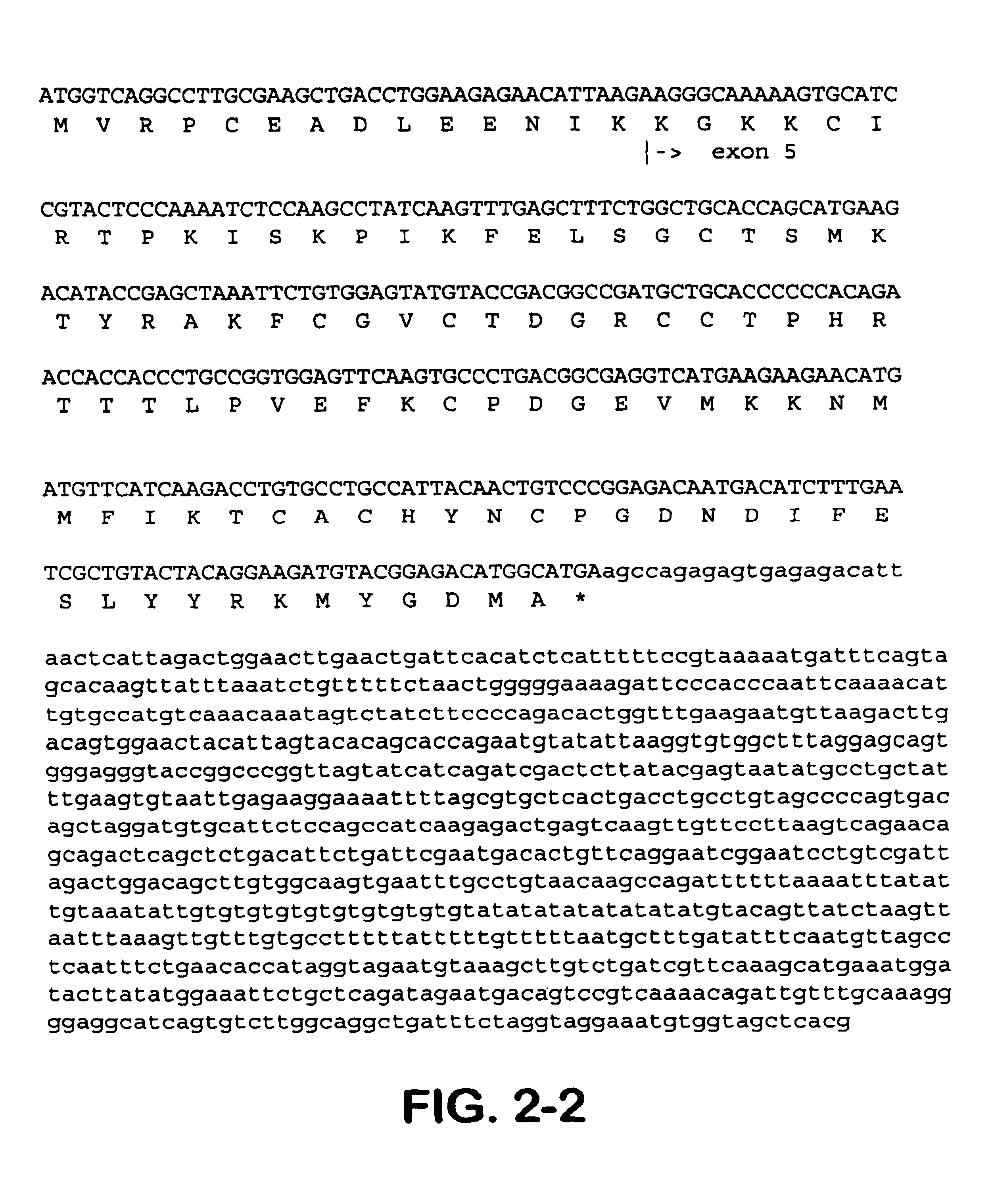 Connective tissue growth factor fragments and methods and uses thereof