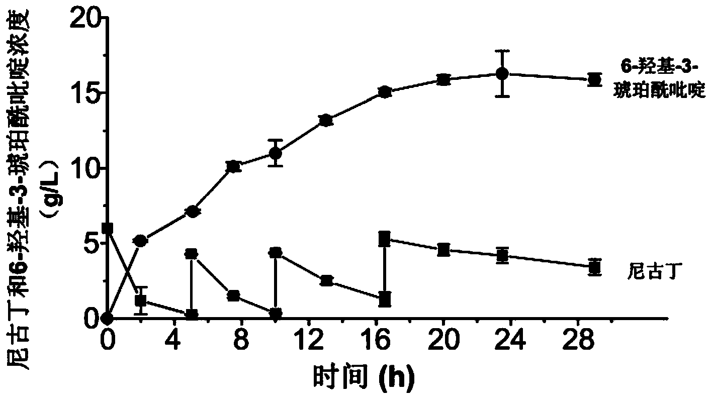 Genetic engineering pseudomonas putida and construction method and application thereof