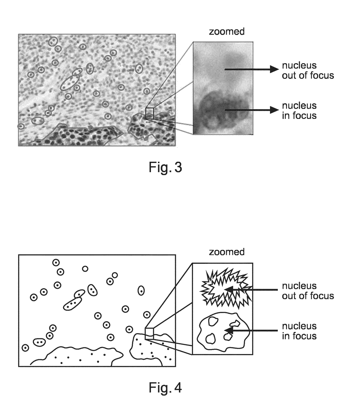 System for generating a synthetic 2d image with an enhanced depth of field of a biological sample