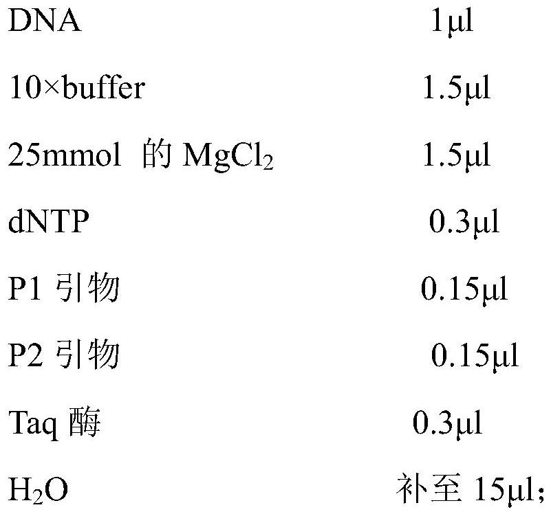 A haplotype marker associated with rapid growth in largemouth bass and its application