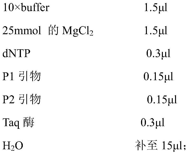 A haplotype marker associated with rapid growth in largemouth bass and its application