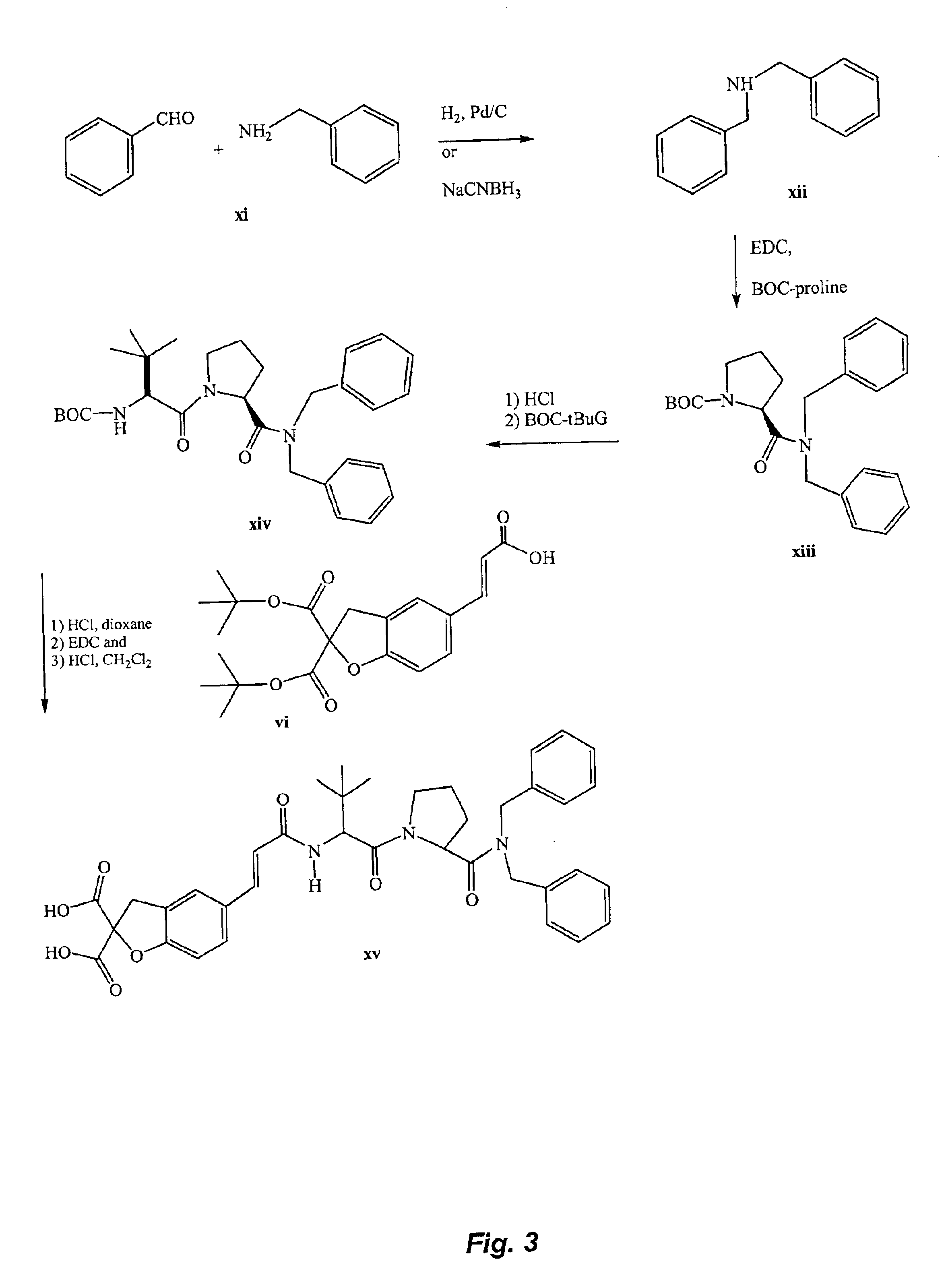 STAT modulators