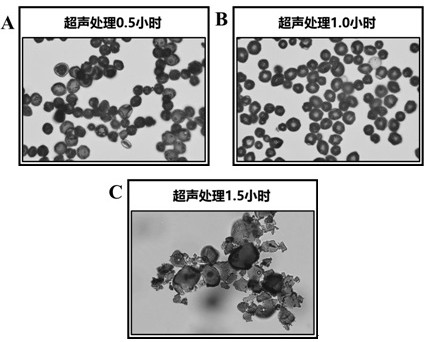 Preparation method and application of efficient self-driven catalyst based on Fenton-like reaction and PMS activation