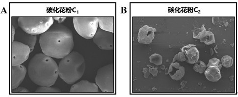 Preparation method and application of efficient self-driven catalyst based on Fenton-like reaction and PMS activation