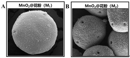 Preparation method and application of efficient self-driven catalyst based on Fenton-like reaction and PMS activation