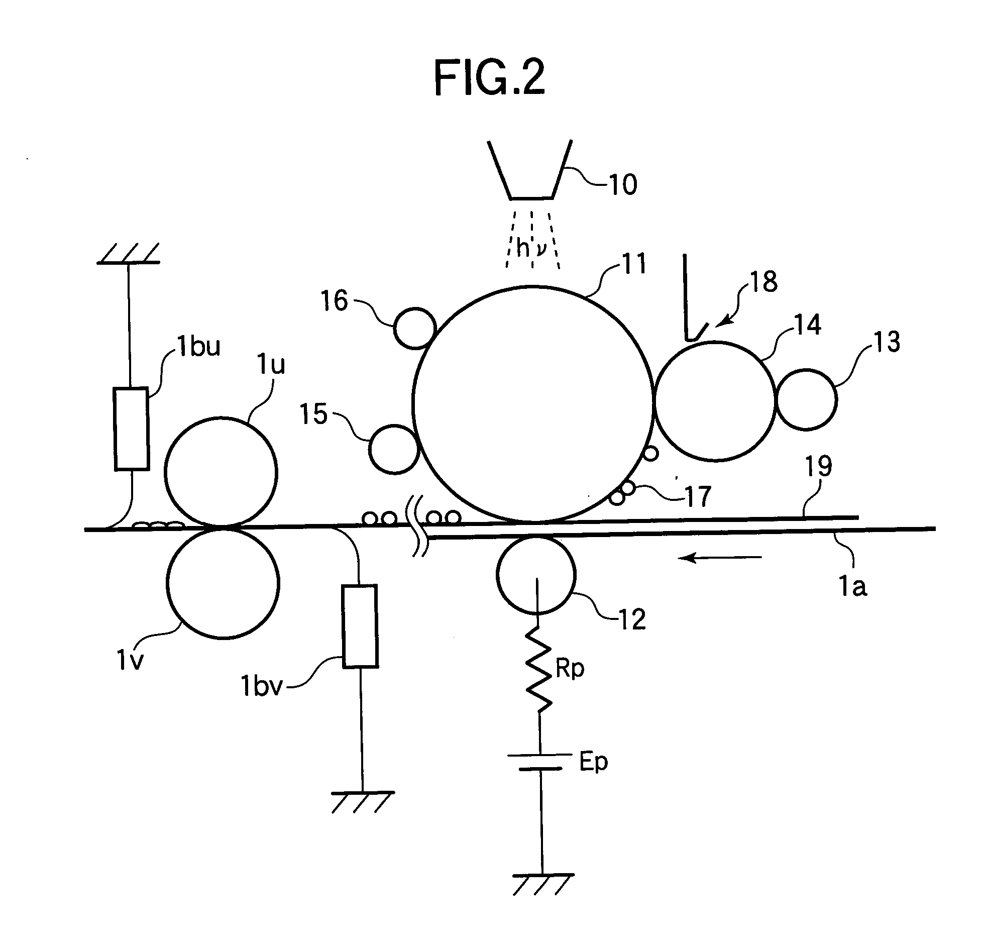 Transfer member and image forming apparatus