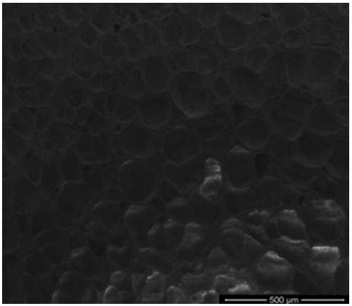 Modified latex masterbatch/styrene butadiene rubber foam material