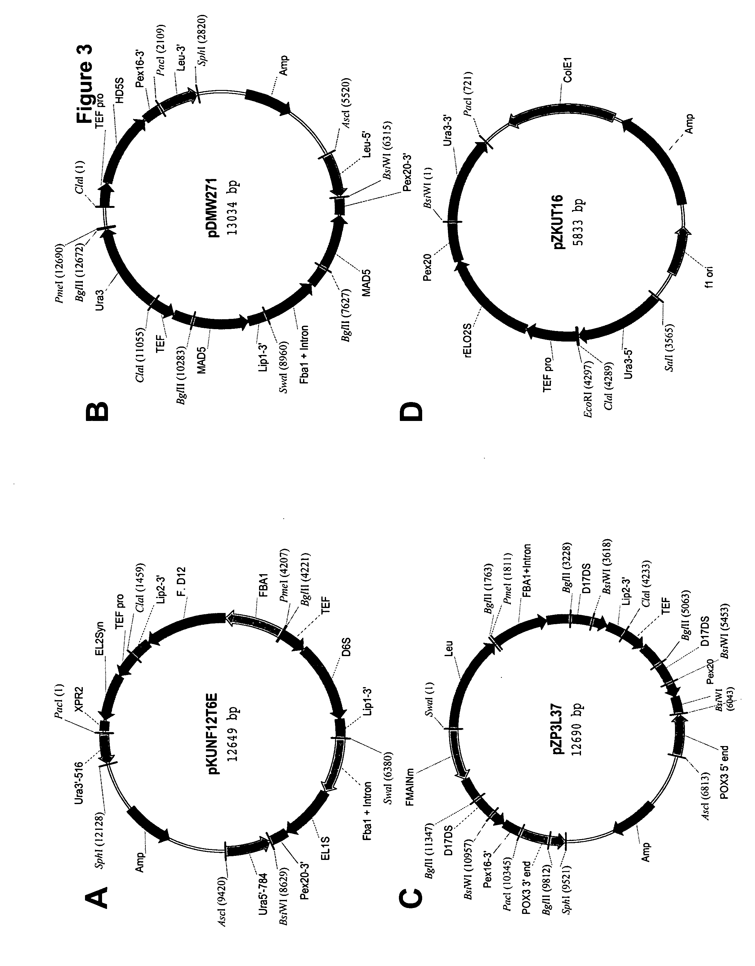 Mortierella alpina glycerol-3-phosphate o-acyltransferase for alteration of polyunsaturated fatty acids and oil content in oleaginous organisms