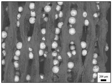 Particle-reinforced fiber-woven composite material and preparation method thereof