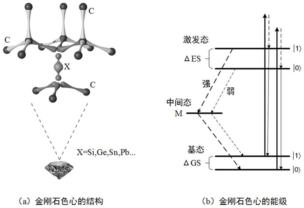 In-vivo biological neural information detection method