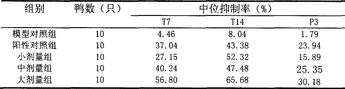 Use of Chinese medicine preparation containing Hippochaete ramosissimum total flavones for preparing medicament for treating hepatitis