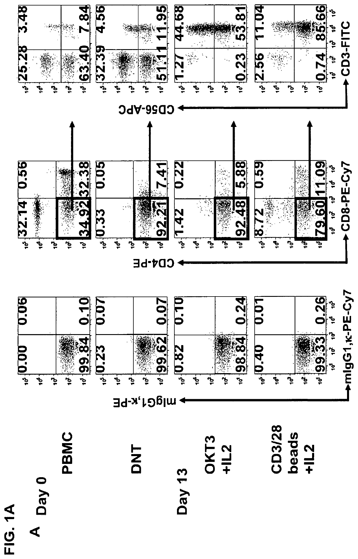 Type iii nkt cells and related compositions and methods