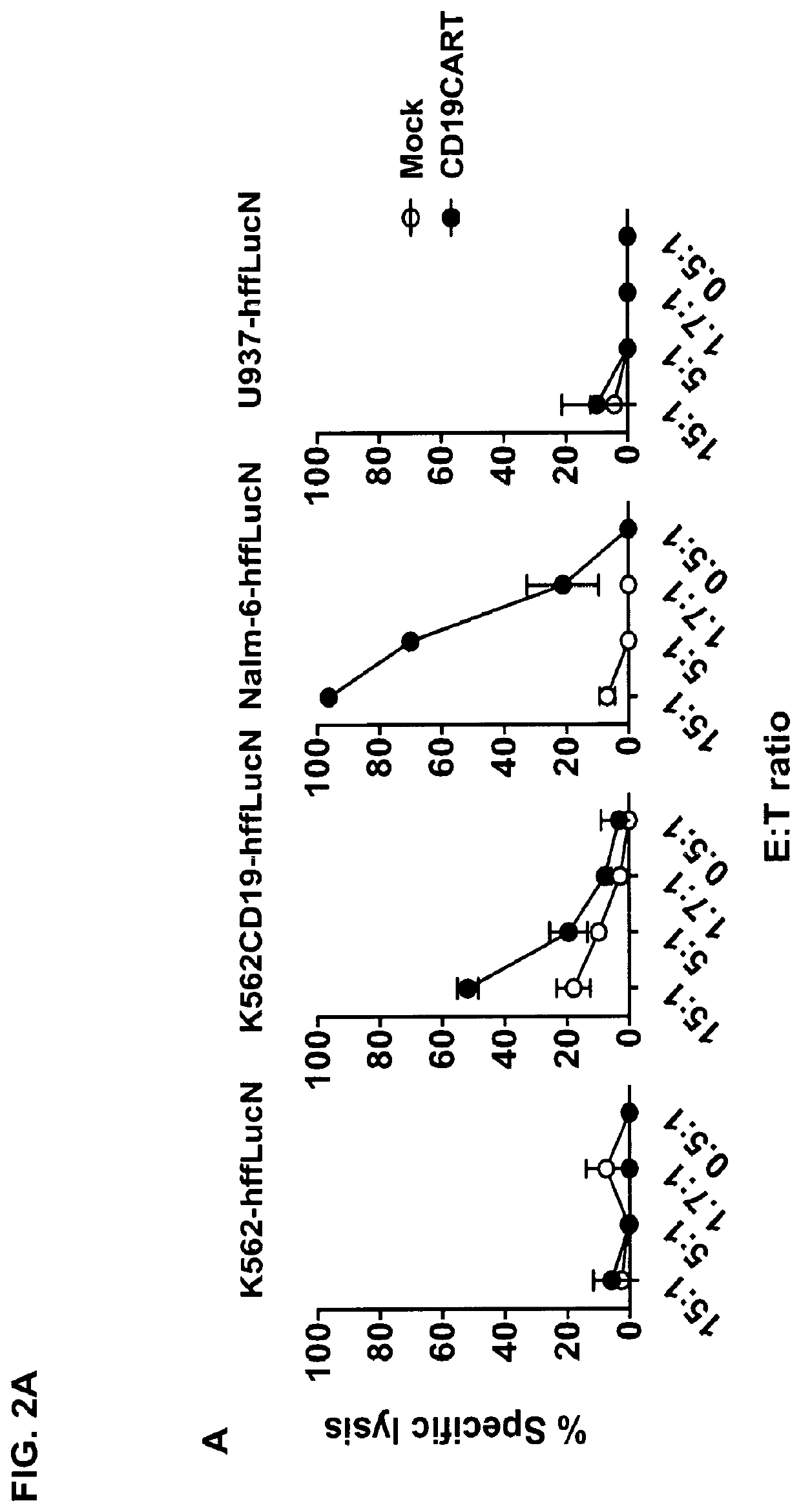 Type iii nkt cells and related compositions and methods