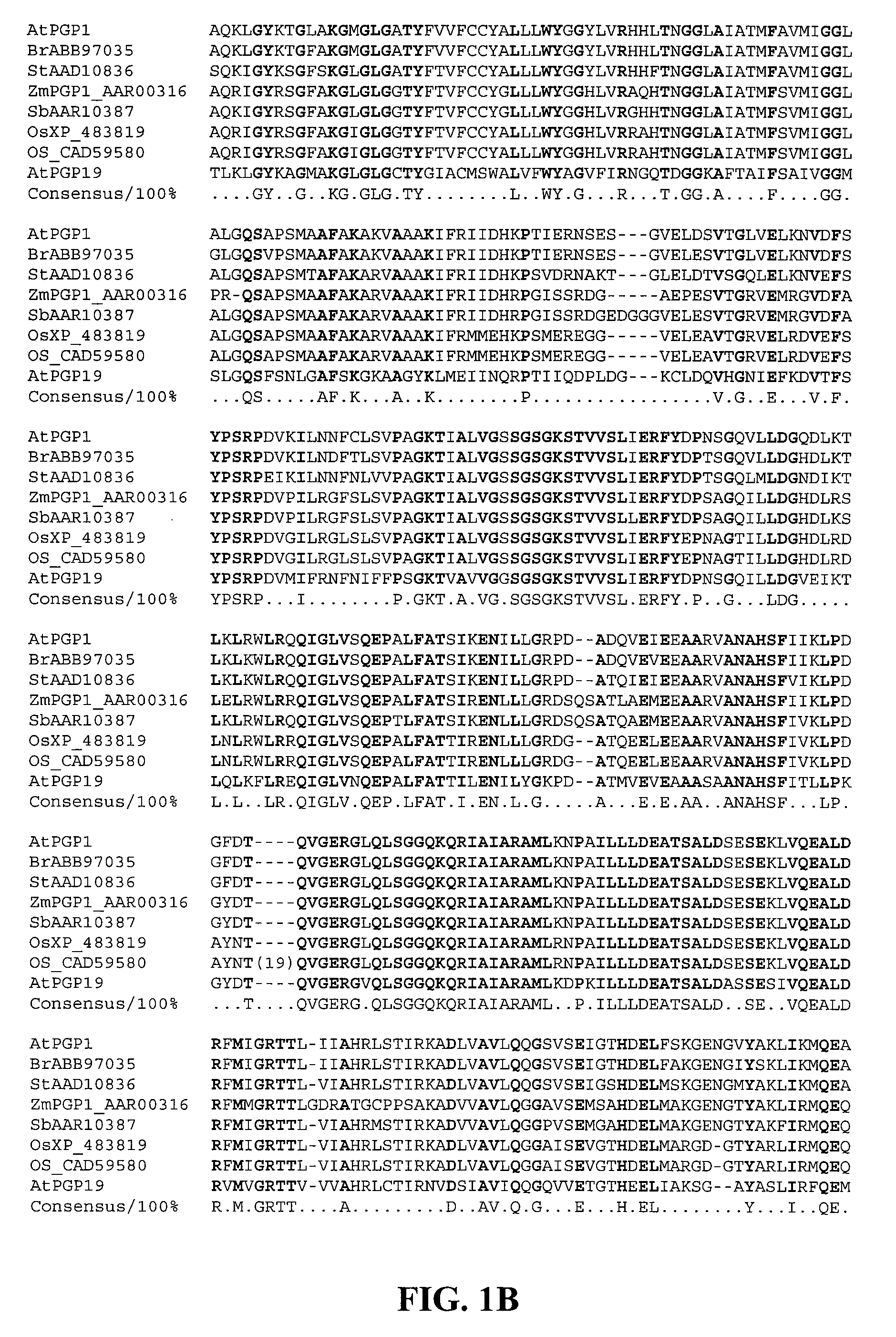 Products and Methods for In Vivo Secretion of Monatin