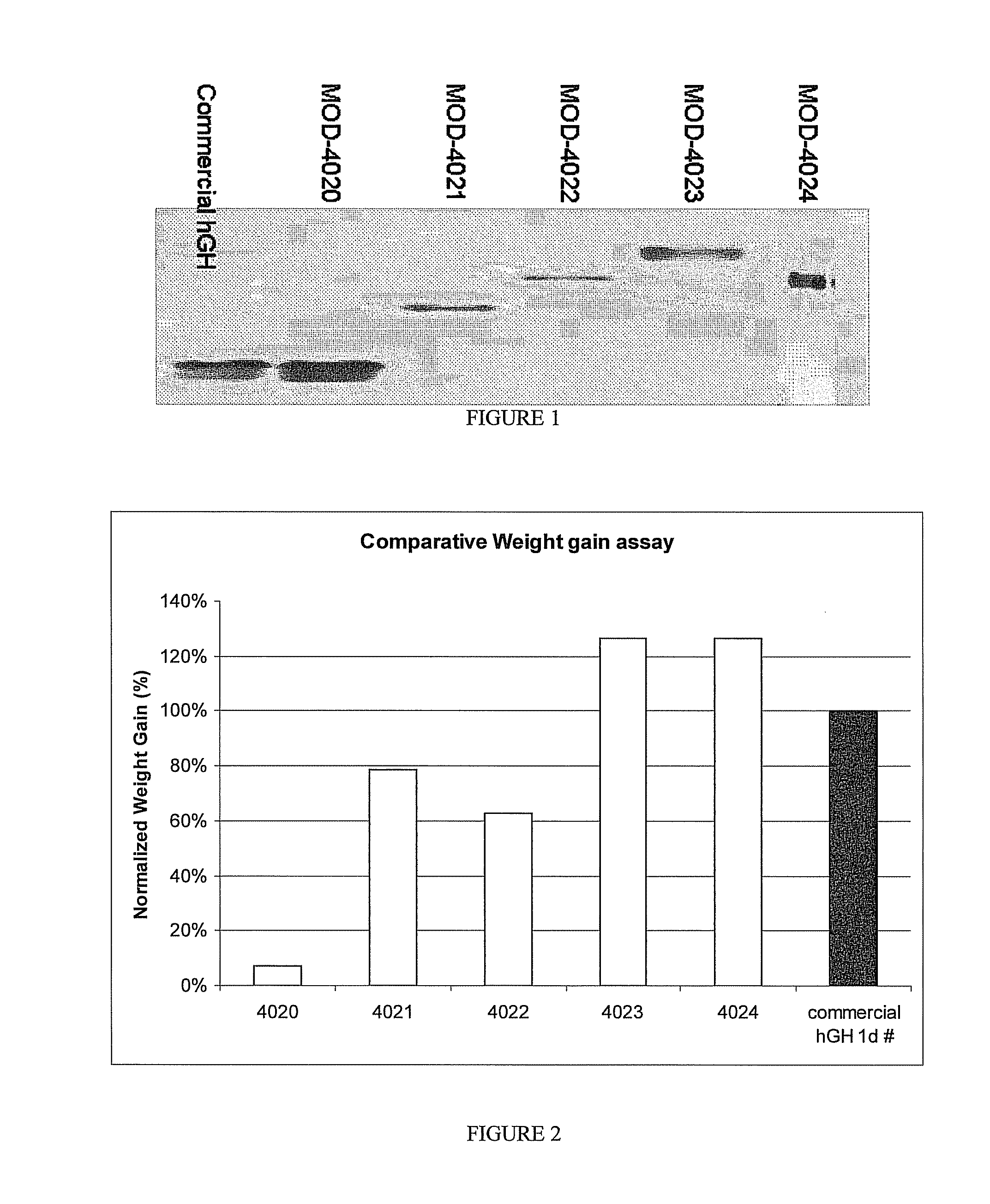 Long-acting growth hormone and methods of producing same