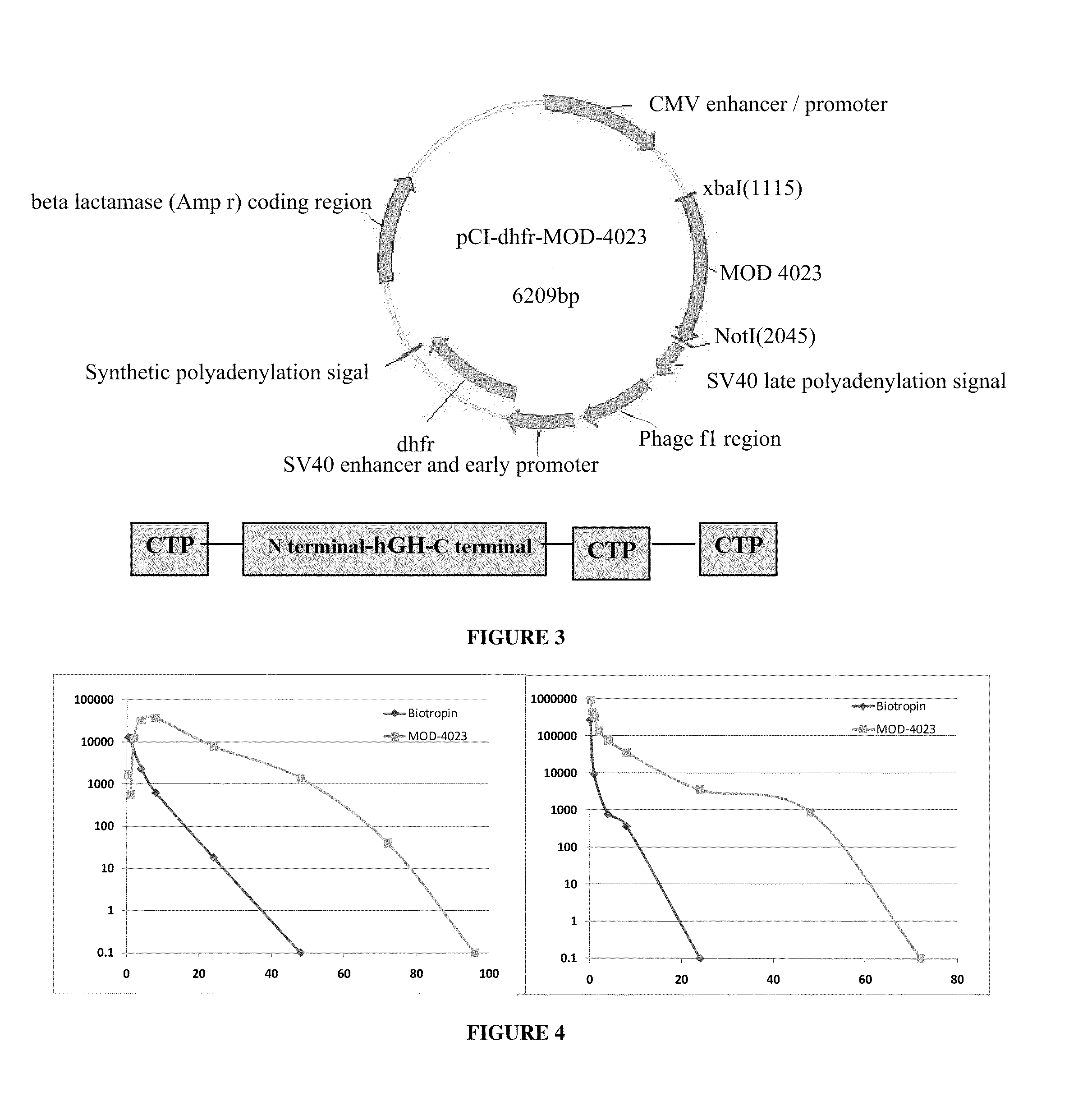 Long-acting growth hormone and methods of producing same