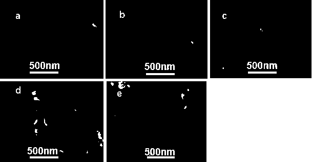 Ionic liquid sensibilized perovskite solar cell and preparation method thereof