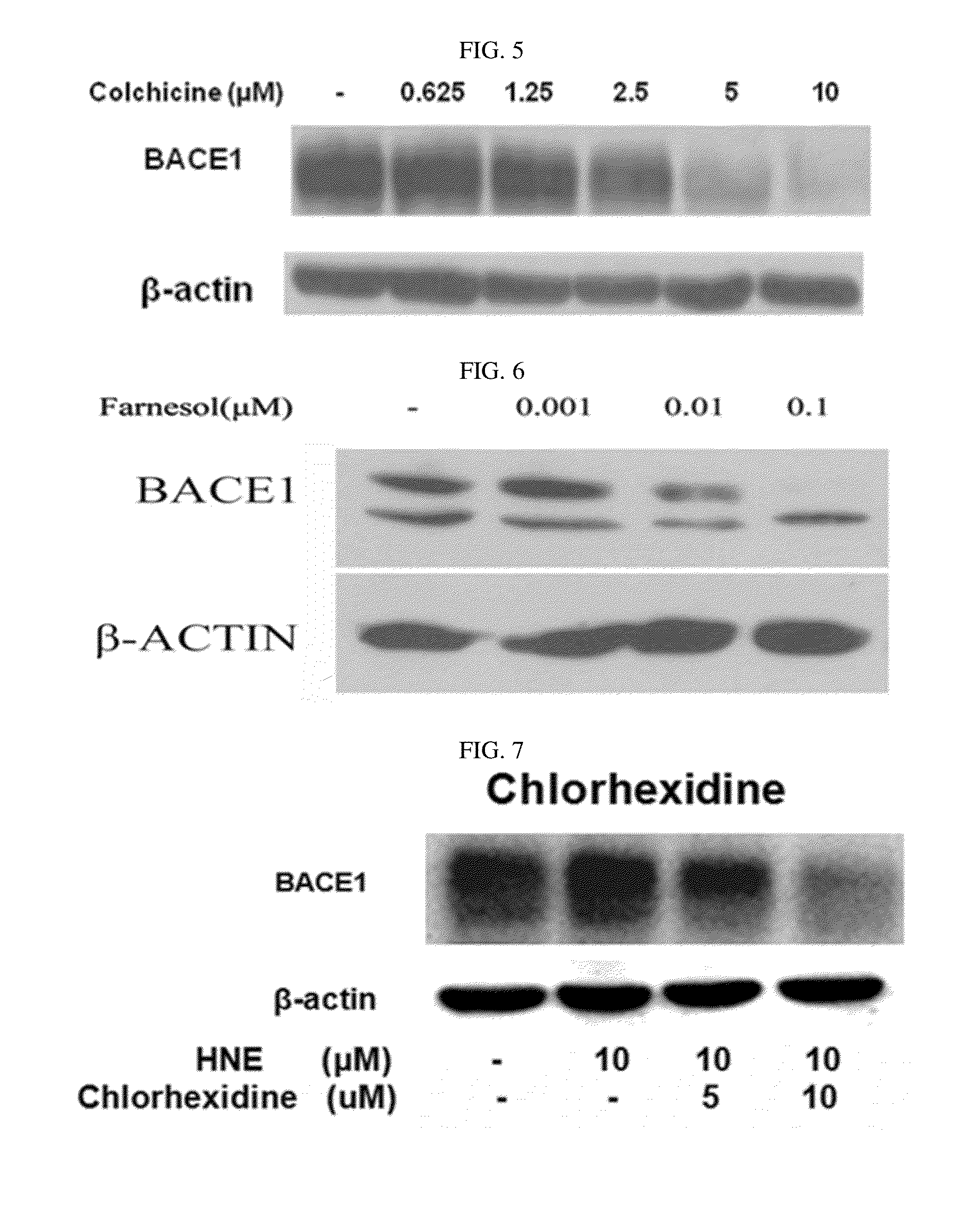 Composition for preventing or treating degenerative brain diseases including compound downregulating expression of BACE1 proteins