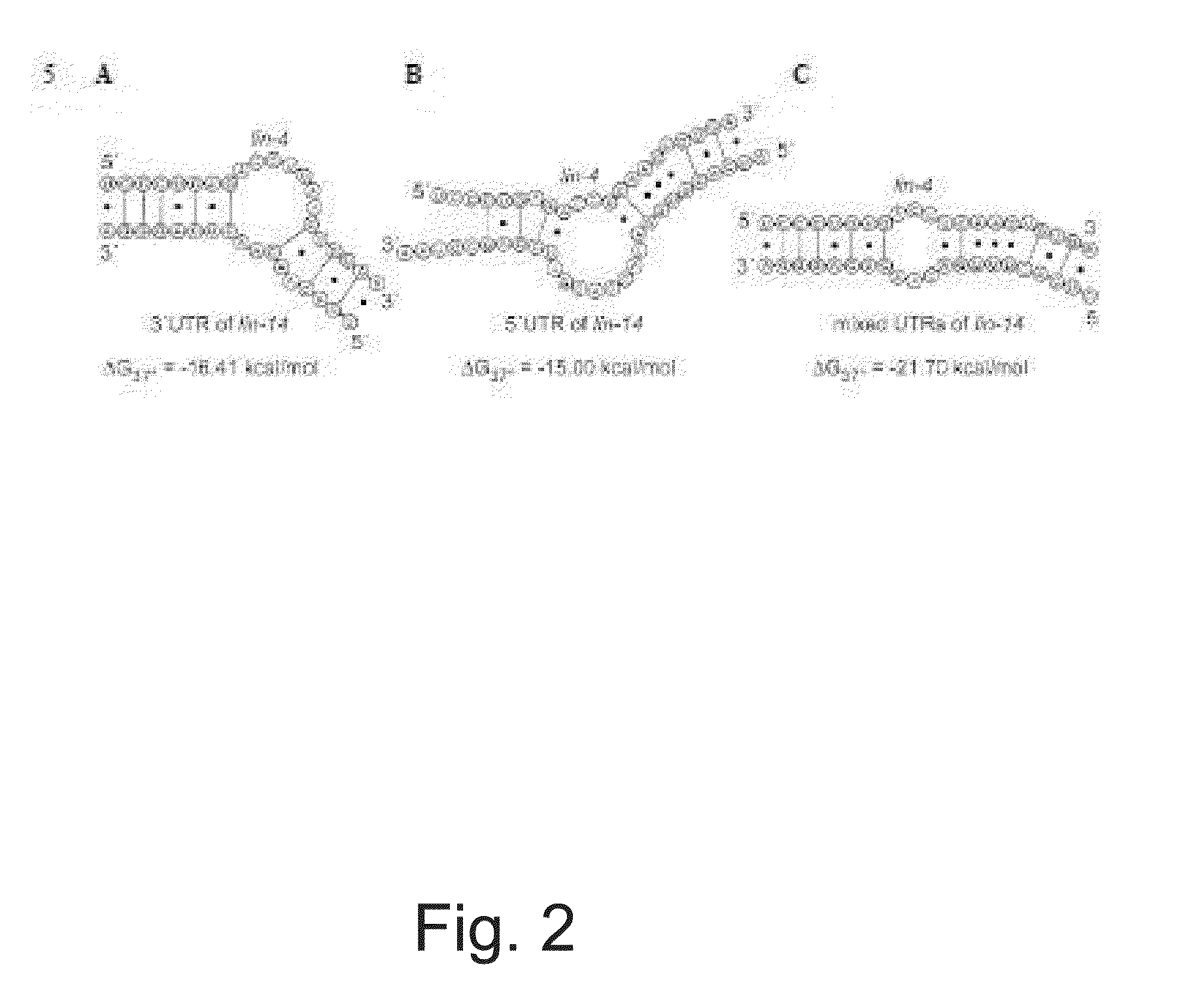 miRNA Target Prediction