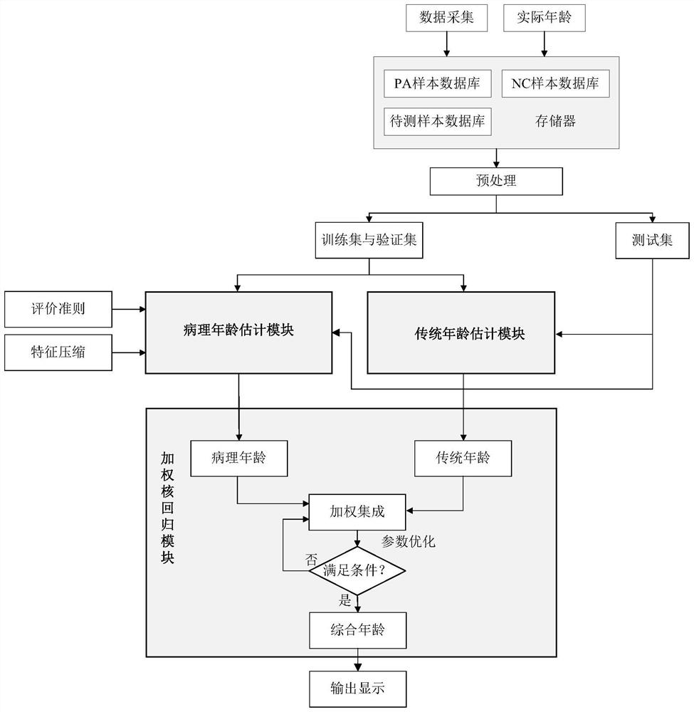 Integrated Age Detection System Based on Weighted Kernel Regression and Encapsulated Bias Search