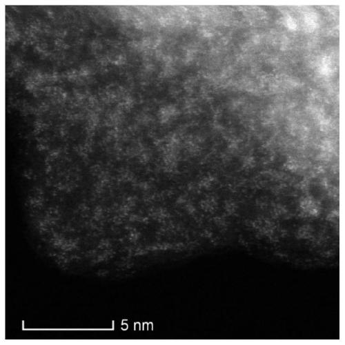 Metal monatomic catalyst and preparation method thereof