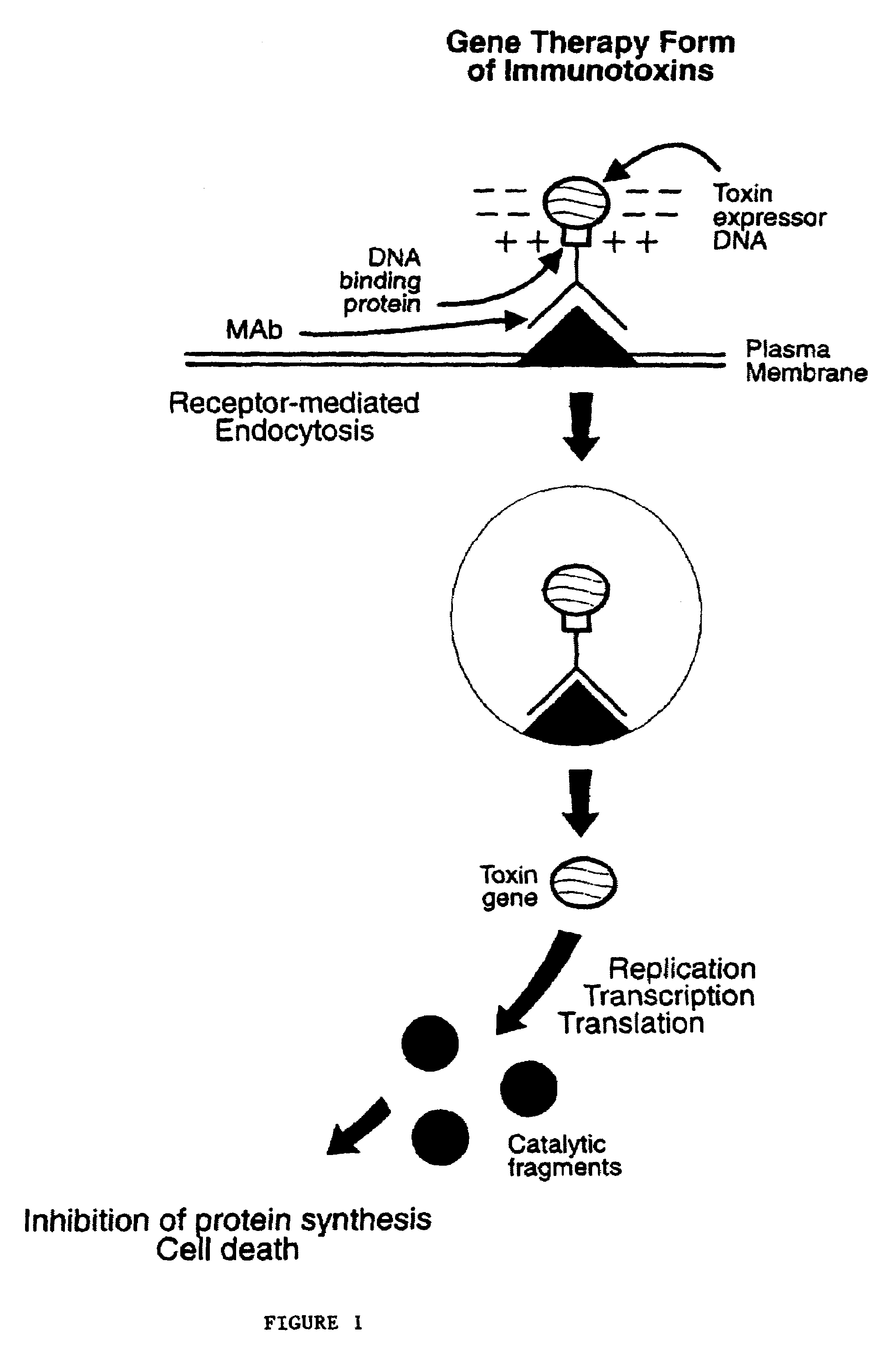 Nucleic acid delivery system, methods of synthesis and use thereof