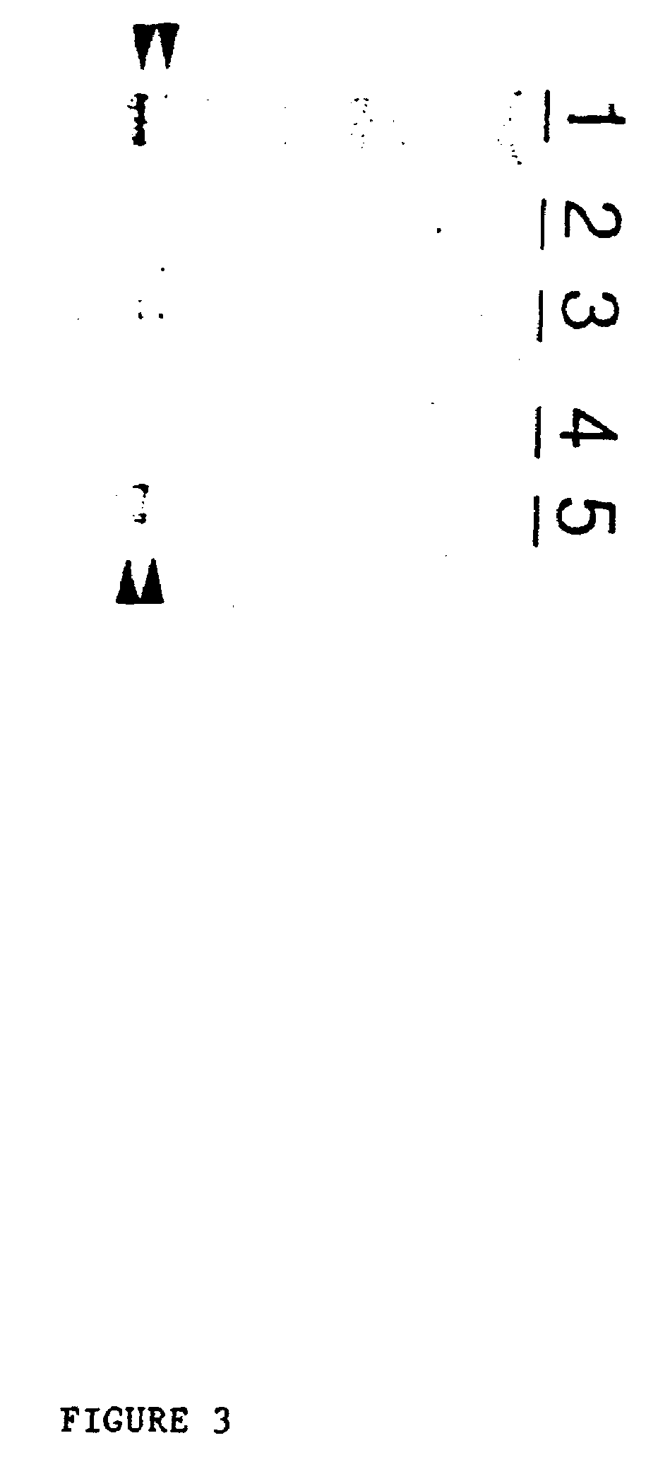 Nucleic acid delivery system, methods of synthesis and use thereof