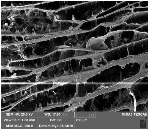 Preparation method of wood-based bionic bone scaffold material