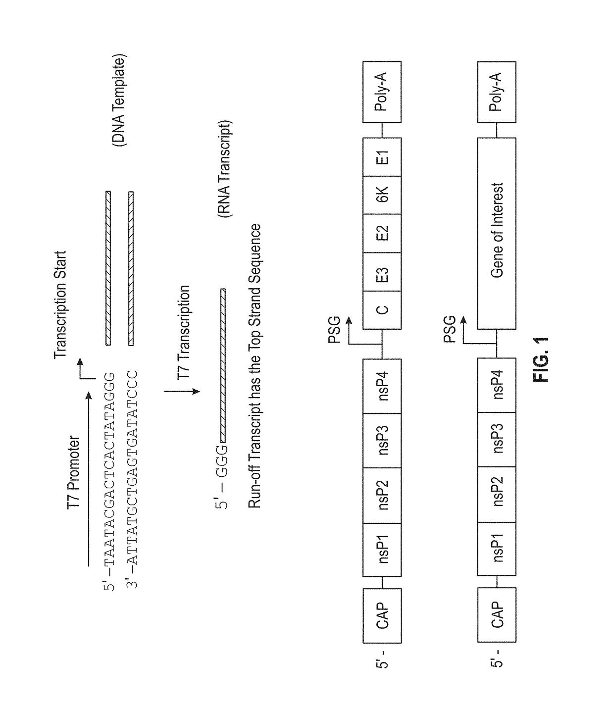 Microneedle compositions and methods of using same