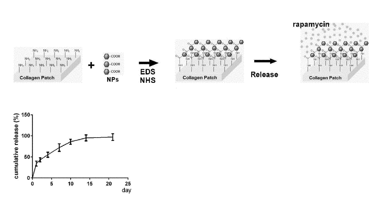 Particle conjugated prosthetic patches and methods of making and using thereof