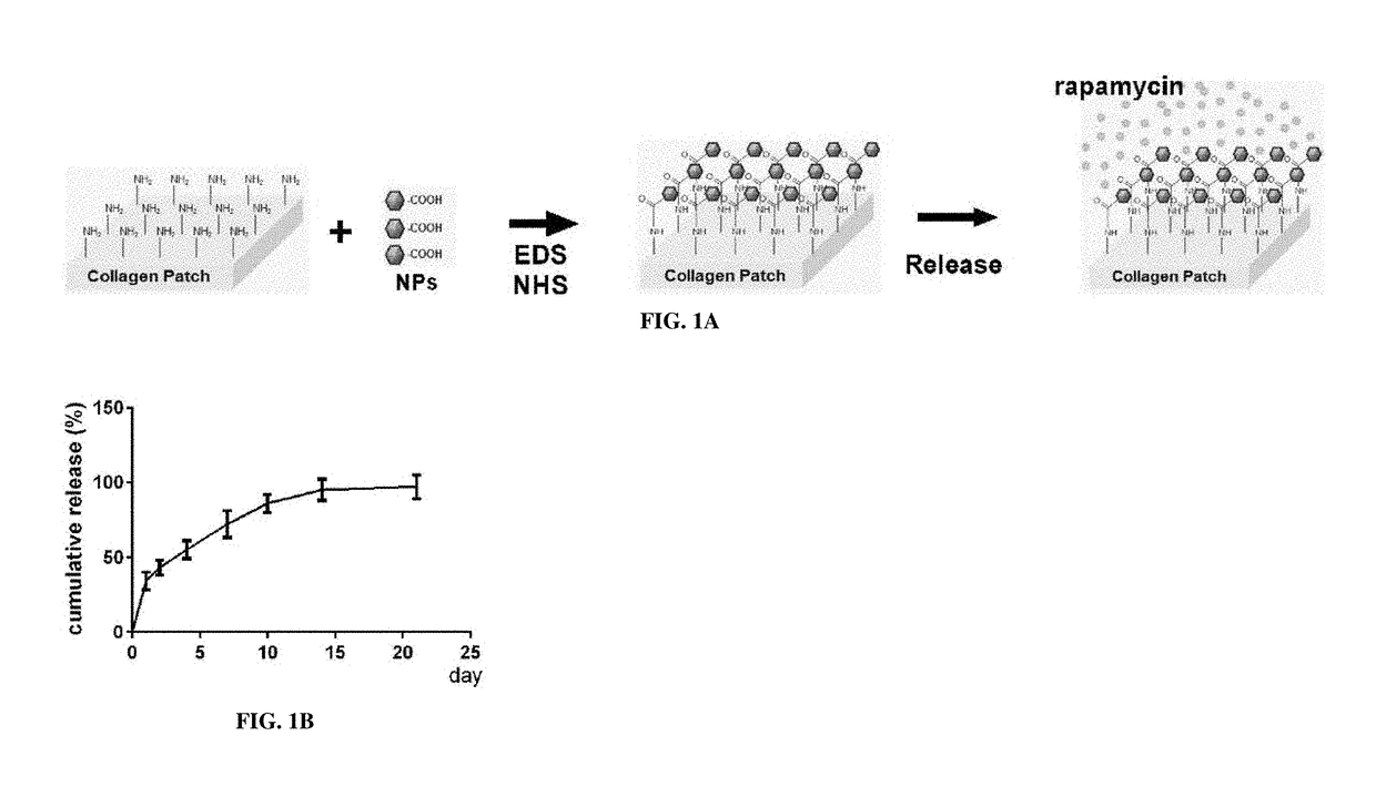 Particle conjugated prosthetic patches and methods of making and using thereof