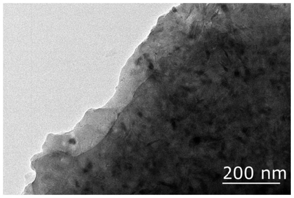 Silicon-carbon negative electrode material for lithium ion battery and preparation method of silicon-carbon negative electrode material