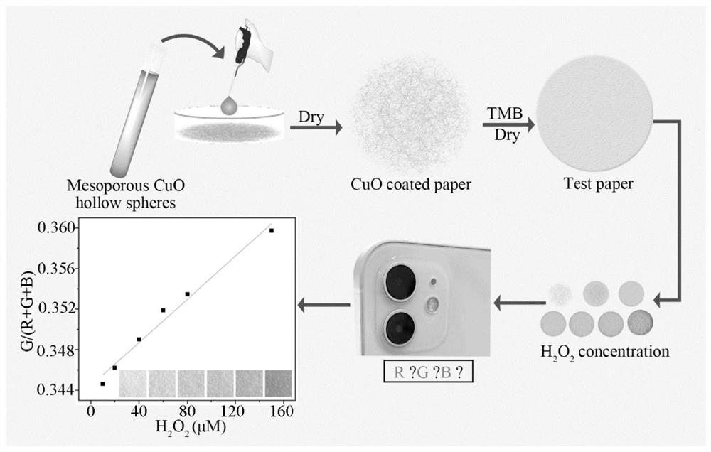 Paper-based sensor for detecting H2O2 based on mesoporous CuO nano-enzyme, and preparation method thereof