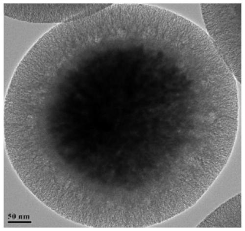 Silicon hydroxyl magnetic bead and preparation method and application thereof