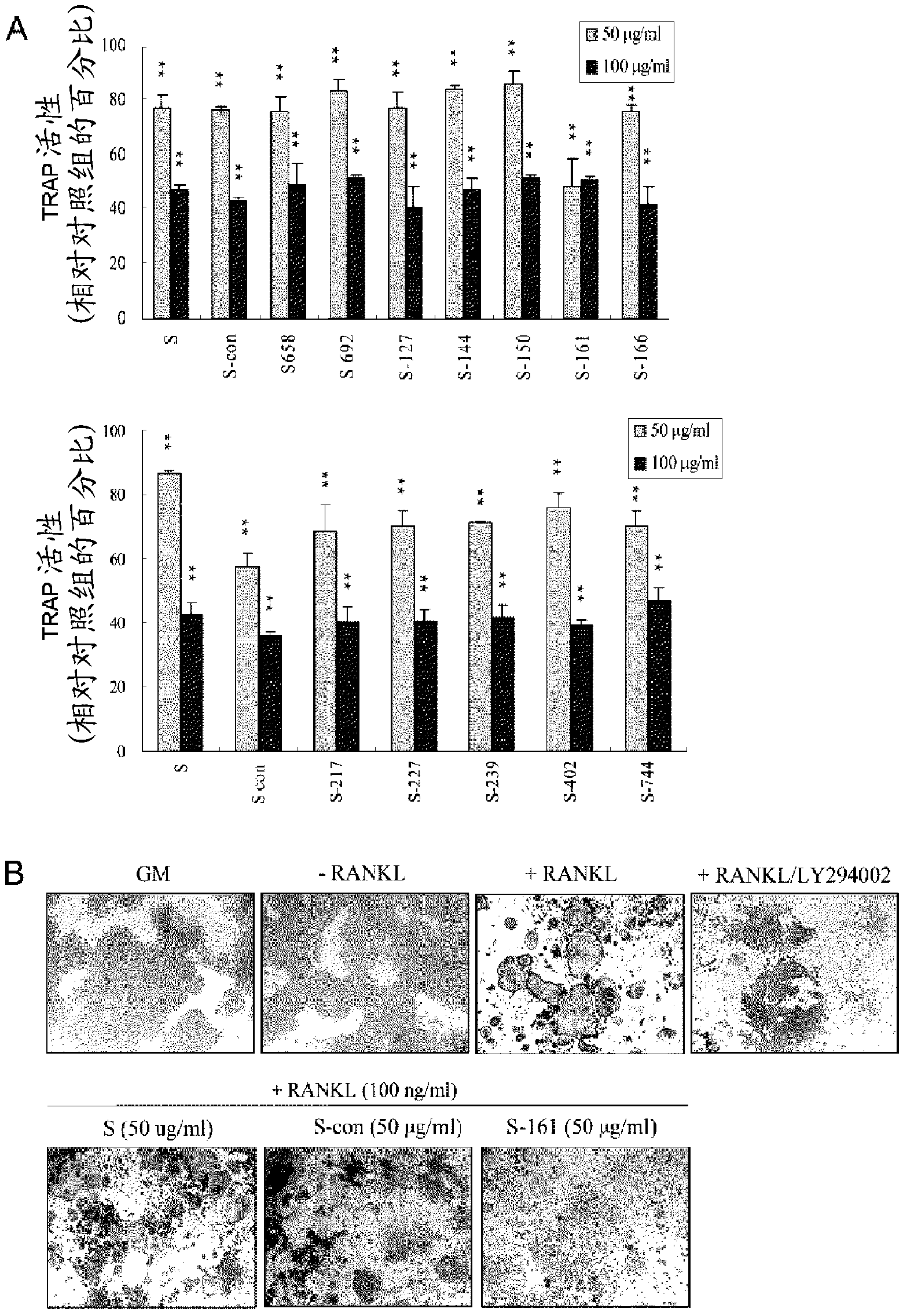 Composition for preventing or treating osteoporosis, containing ssangwhatang or lactobacillus fermented product thereof