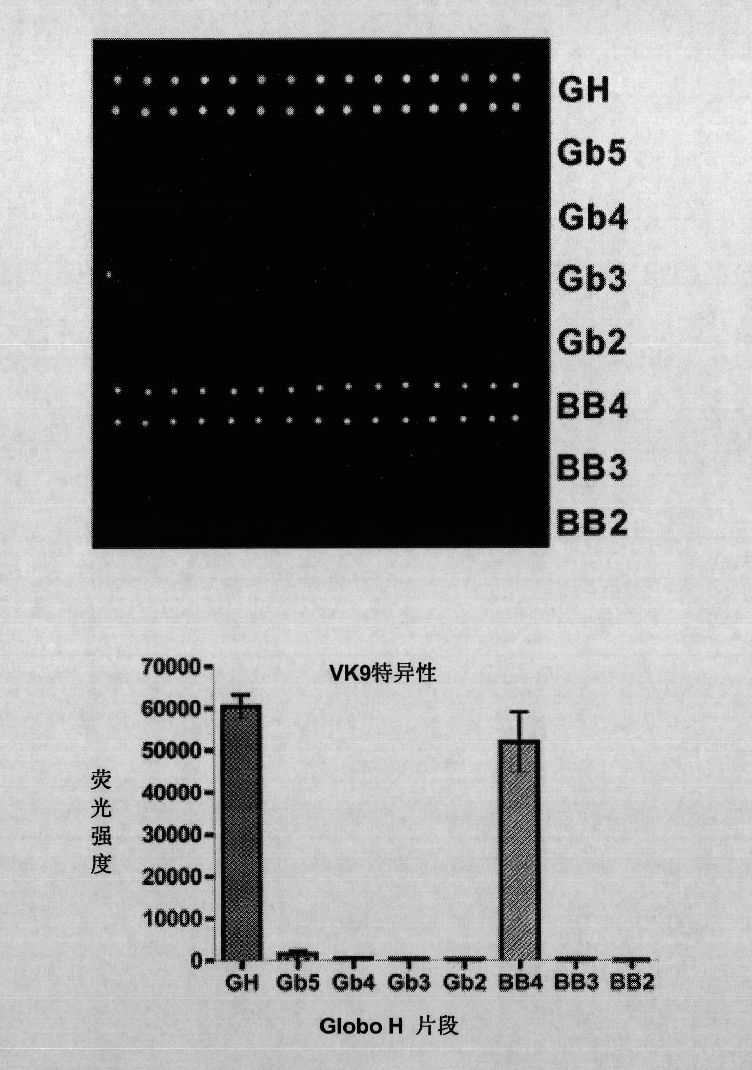 Globo h and related anti-cancer vaccines with novel glycolipid adjuvants