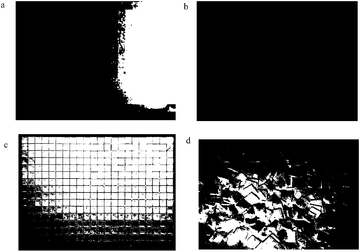 Method for screening biologically active components in complex component with high throughput through planar chromatographic component microarray, and applications thereof