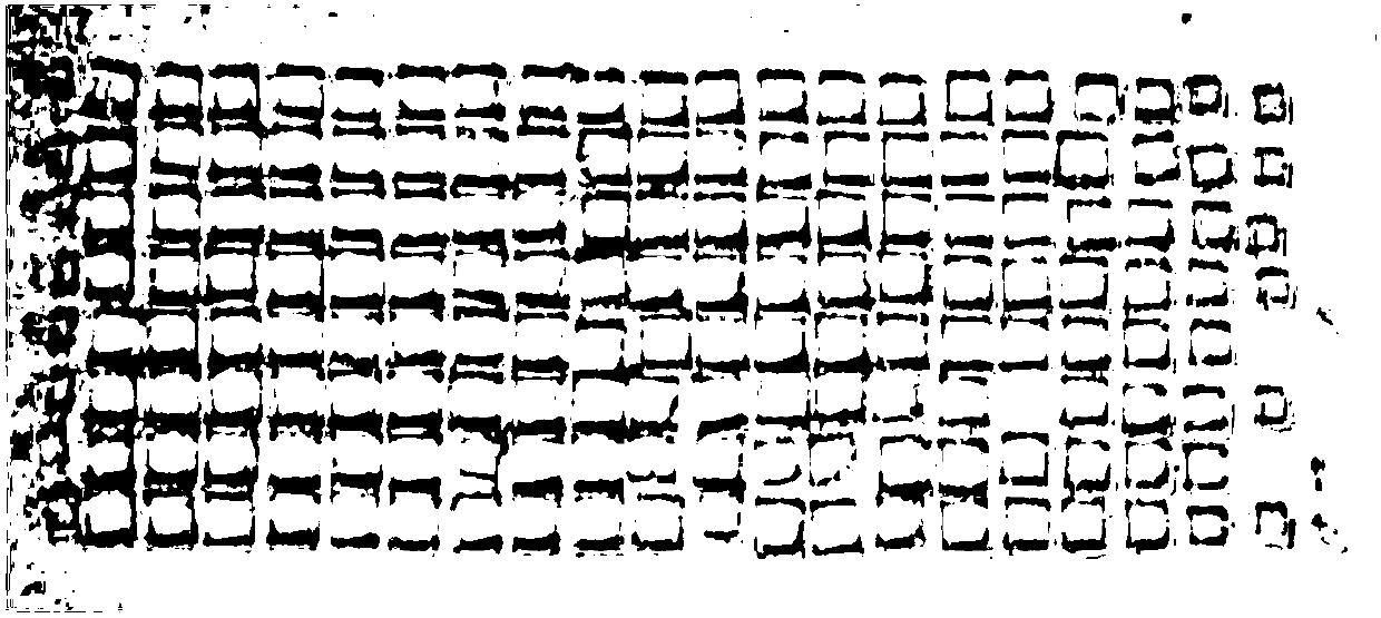 Method for screening biologically active components in complex component with high throughput through planar chromatographic component microarray, and applications thereof