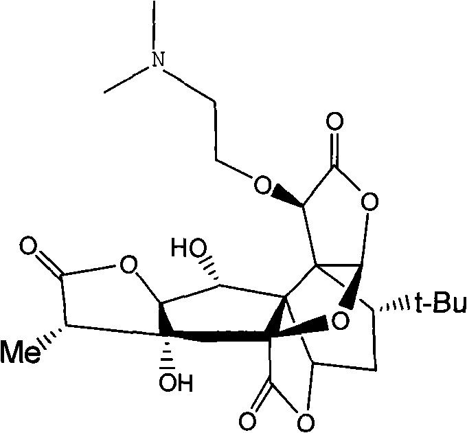 New application of Ginkgolide B derivative in medicament preparation