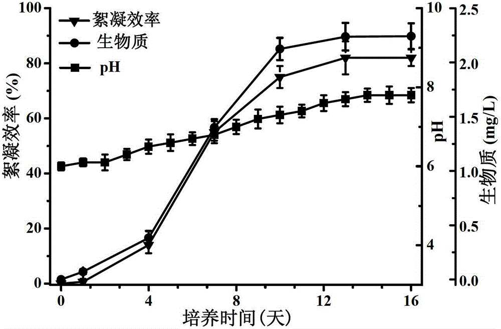 Scenedesmus obliquus producing self-flocculation substance, and application of the same in microalgae harvesting