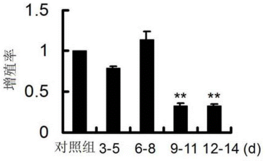 New application of cells matched with tumor cell developmental stage and extract of cells